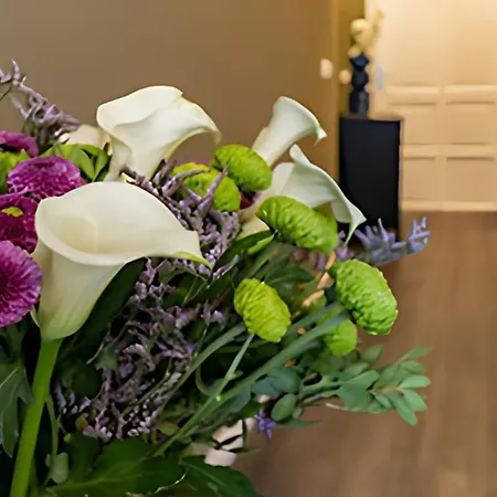 Jonica Aparthotel Bremen