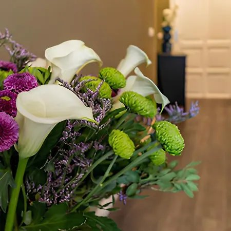 Jonica Apartahotel 3*